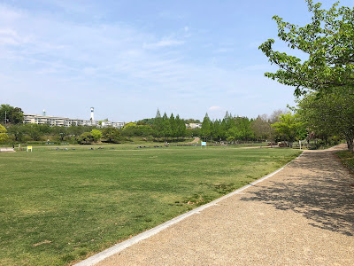 【寝屋川市】打上川治水緑地の牡丹桜（4月中旬～下旬に見頃）