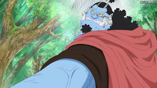 ワンピースアニメ 505話 ジンベエ | ONE PIECE Episode 505