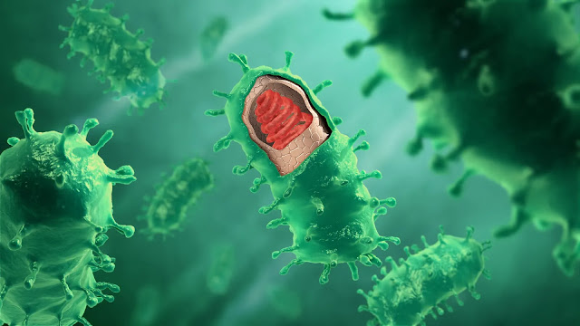 Deadliest-Viruses-Ever-in-History