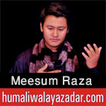 http://www.humaliwalayazadar.com/2017/09/meesum-raza-nohay-2018.html