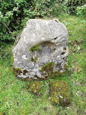 Bullaun Stones of Laois