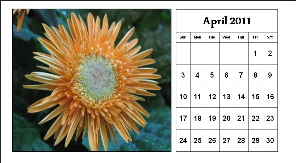2011 calendar april. 2011 calendar april may june. CALENDAR 2011 APRIL MAY JUNE; CALENDAR 2011 APRIL MAY JUNE. TrollToddington. Apr 6, 01:21 PM