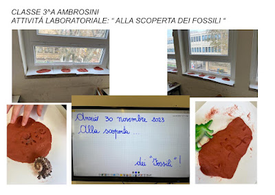 attività laboratoriale della classe 3A Ambrosini “Alla scoperta dei fossili “.