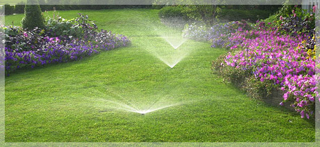 A Perfect Lawn with flowers blooming and irrigation spraying