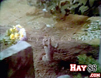 Bé gái bị hãm hiếp đào mồ 'sống lại' | Maphim.net