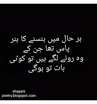 love shayari // best urdu hindi poetry collection