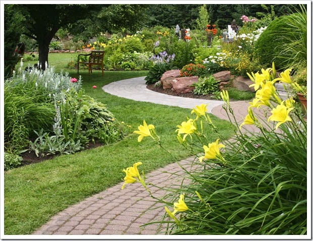 backyard garden