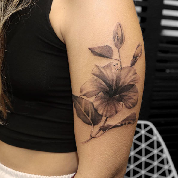 Este raio-x flor