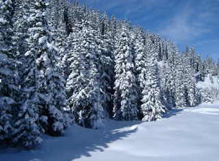 How much mph winds heart up as they descend, evaporating all water, ice and snow in their path ?