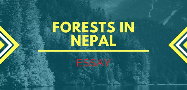 Essay on Forests in Nepal, Forests in Nepal, Green forests of Nepal