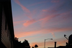PICT0013