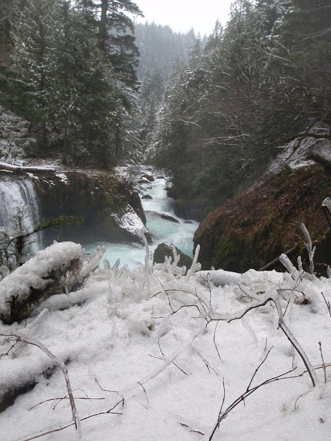 Daniel Patrinellis. Adrian Wigston, Mike Nash, Joe Howard, Scott Waidelich, Jeremy Bisson, Alex Podolak, Brad X, Logan Farrell, Kokatat, Dagger Kayaks, Confluence watersports, Canon 7D, Canon, Gopro, GoPro Hero2, Mamba, Nomad, Burn, Karnali, Little White Salmon River, Little White Salmon, LDUB, ldub, Little White, Hood River, Kayaking, Creeking, Carnage, WA, Washington, PNW