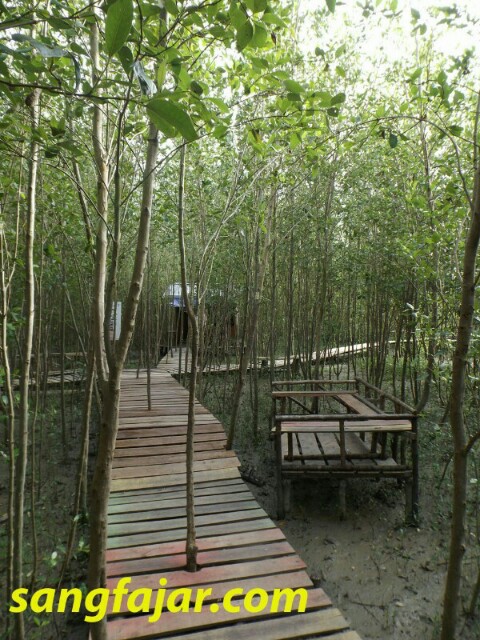 taman mangrove mangrove park mempawah wisata kekinian di  