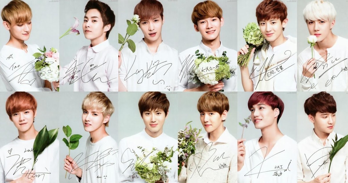 Gambar Lucu Foto Profil