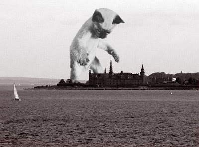 Watch as Catzilla Attacks Seen On www.coolpicturegallery.us