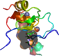 gata1 biological unit ara-C (Arabinofuranosylcytosine) Cytarabine (CID_6253; SDF File (.sdf)) = ara-c (MMDB ID: 23600 PDB ID: 1P5Z)
