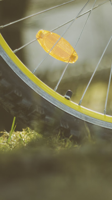 Wheel, Bicycle, Grass, Photography