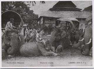 Huge Collection of Lao Postcards