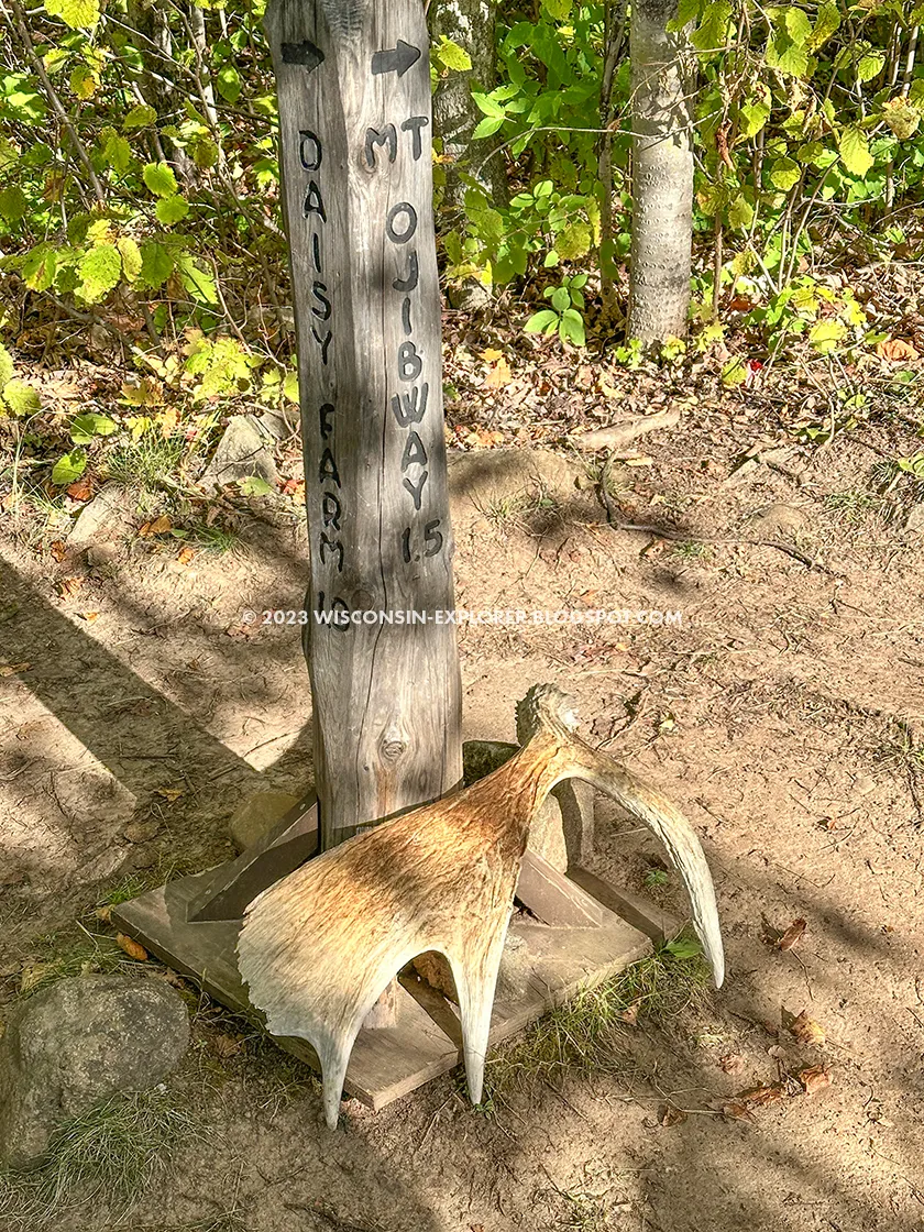 sign post with moose antlers
