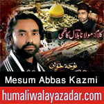 http://www.humaliwalayazadar.com/2014/10/mesum-abbas-kazmi-nohay-2013-to-2015.html