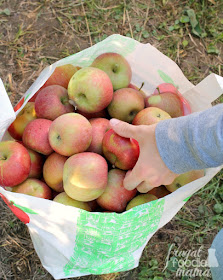 The whole family can pick their own apples at Triple B Farms in Monongahela, PA.