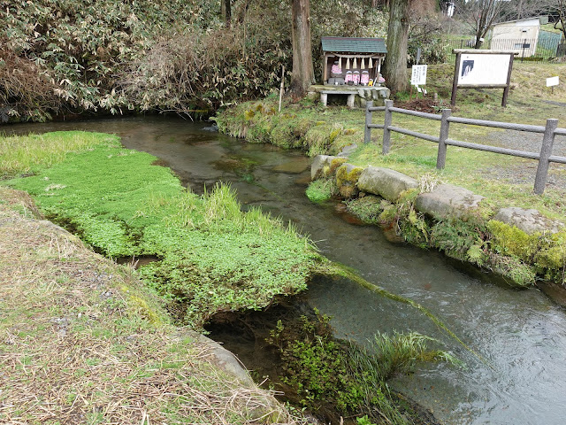 鳥取県西伯郡伯耆町丸山　地蔵滝の泉