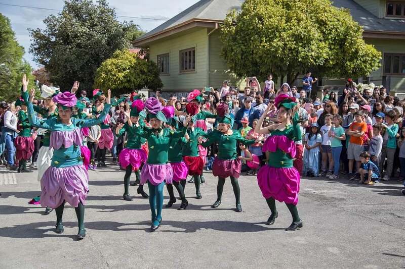 Festival Carnaval del Sur realizará espectáculo teatral en Puerto Varas