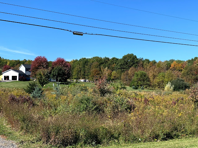 Ruple Farms - Fall foliage 2019