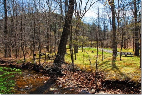 Sherando Lake Picnic Area 1
