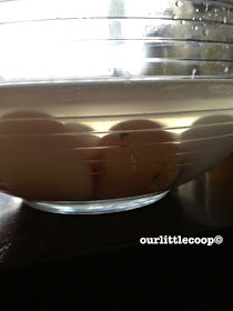 Eggs soaking in Manna Pro egg cleanser solution backyard chickens