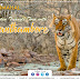 Perfect Tour To Enjoy Wildlife Safari With Golden Triangle Tour With Ranthambore 
