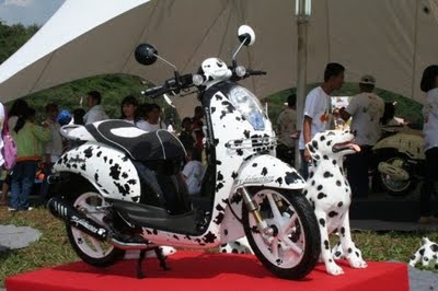  MODIFIKASI HONDA SCOOPY Dalmatian