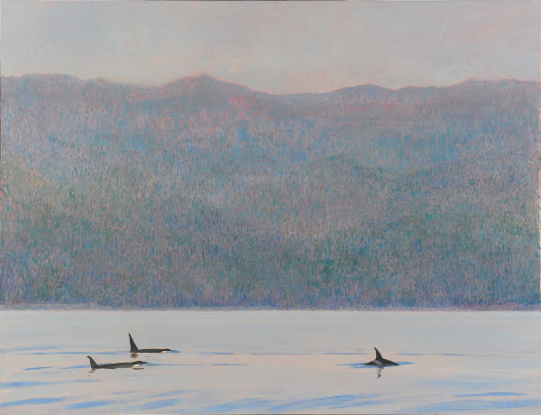 “Orcas, Blackfish Sound”  by Darren Rees