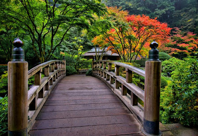 Wooden Bridges by cool wallpapers