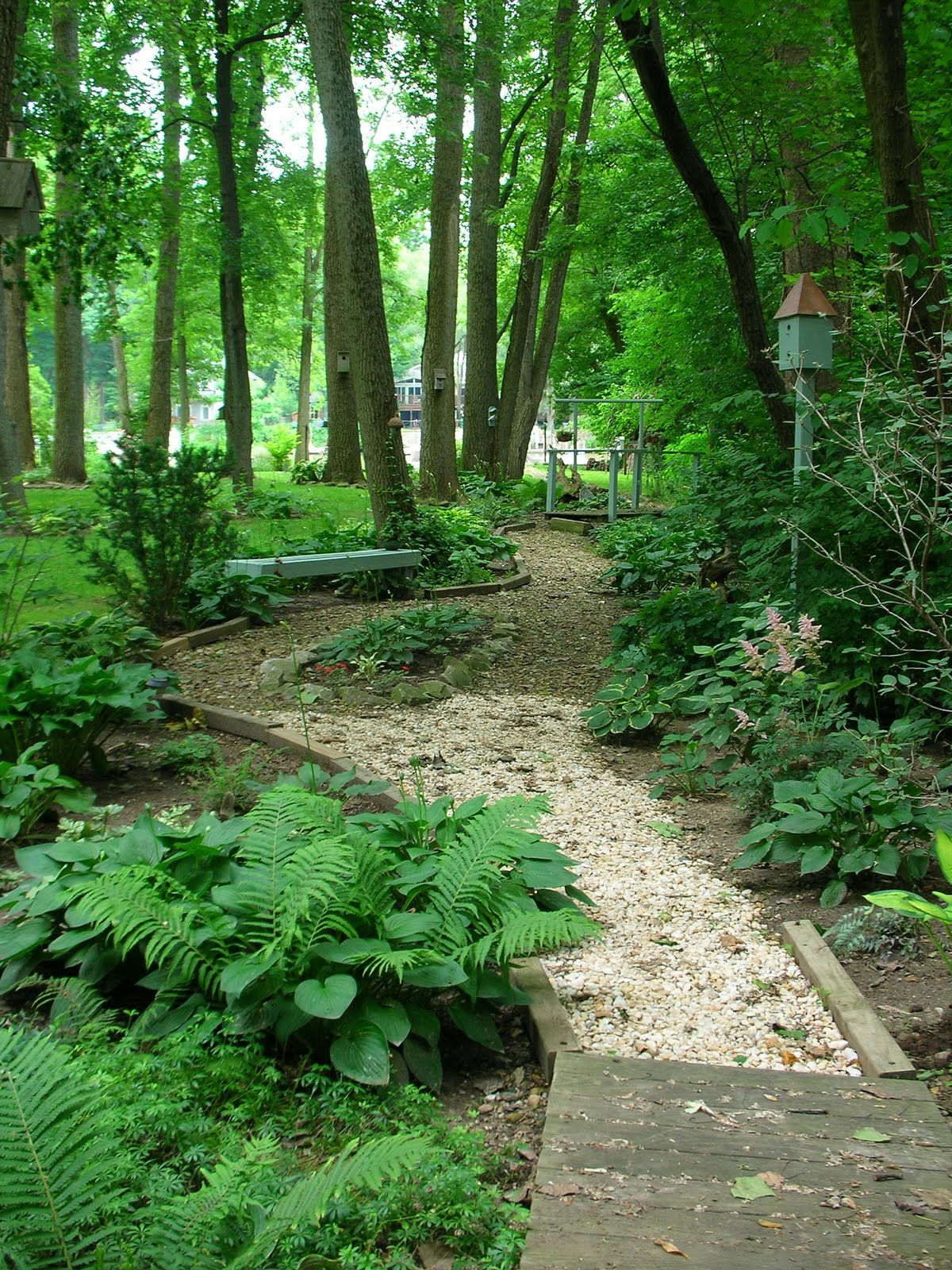 Garden Thyme with the Creative Gardener: Designing the Woodland Garden
