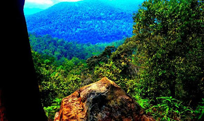 Taman Nasional Taman Negara