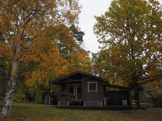 lingonberryhouse, leisure home, puunkaato, woodcutter