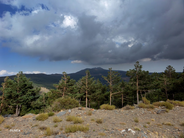 El Almirez.Sierra Nevada Almeriense