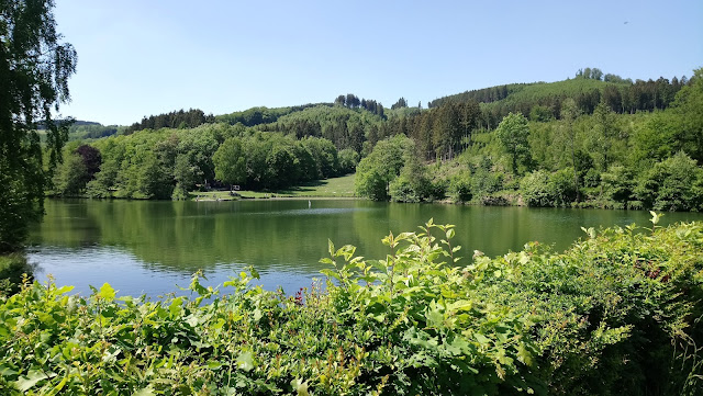 Sauerland wandern Wetter blog Esloher Rundweg Homert 