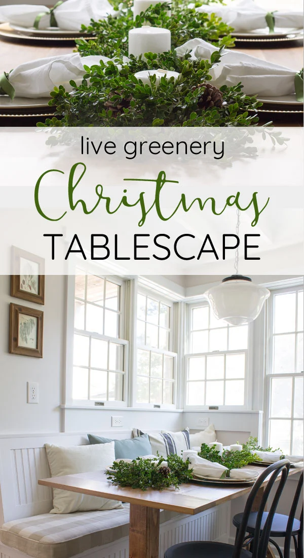 How to decorate a table for Christmas on a budget! Beautiful farmhouse winter tablescape using a boxwood runner as a DIY centerpiece.