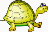 SUPER FAST TURTLE