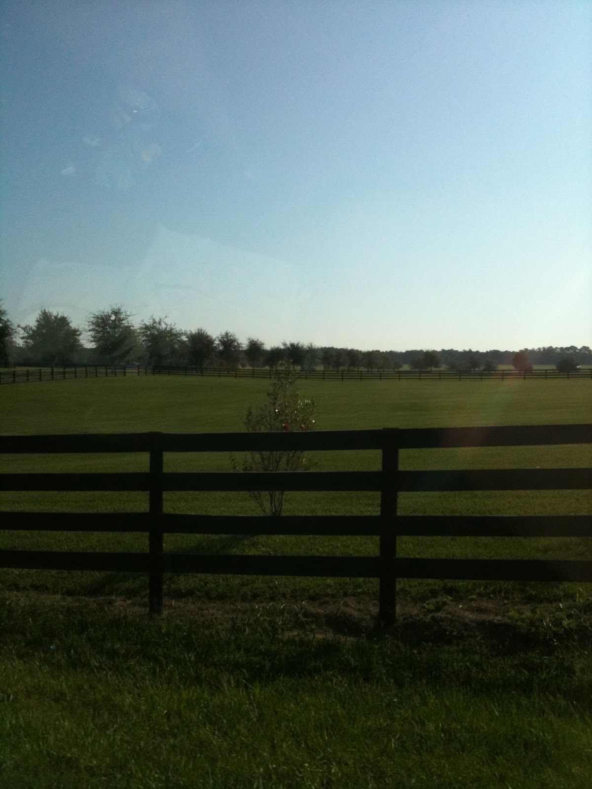 Ocala, Florida: The Mothership