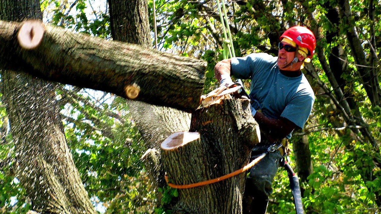 Davey Tree Expert Company