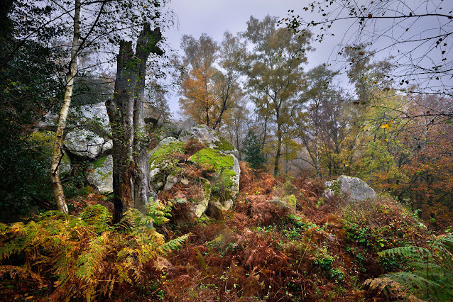 La Gorge aux Loups, forêt de Fontainebleau.