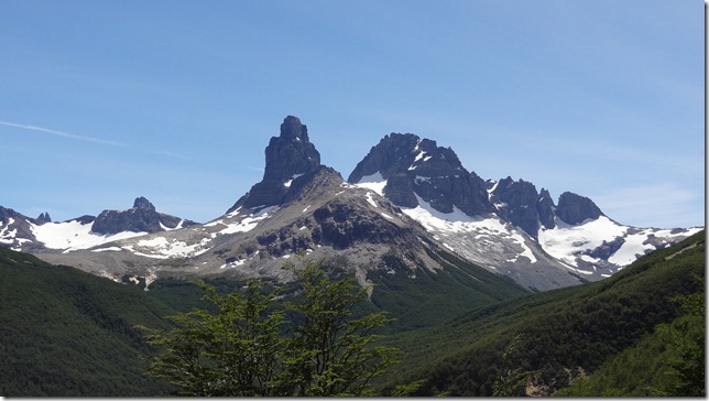 DSC07318_thumb1