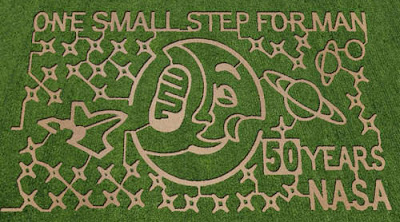 Corn Maze at Dewberry Farm in Brookshire, Texas | Amazing Corn Maze Designs