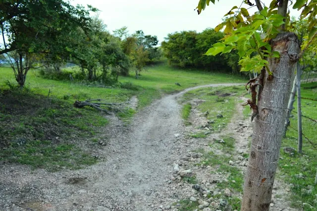 Mau ke Tempat wisata Menarik di Aceh, ini salah satunya