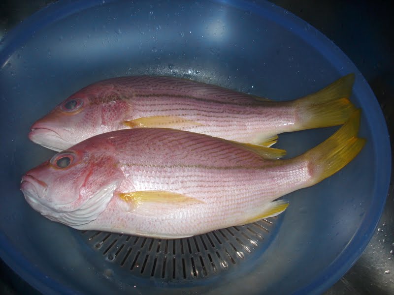 AMIE'S LITTLE KITCHEN: Ikan Merah Panggang Berlada & Pucuk 