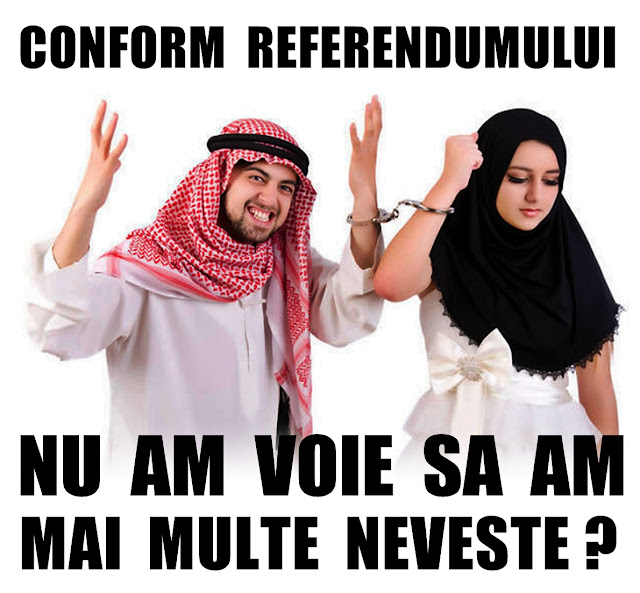 Arabii nu sunt de acord cu referendumul pentru familie