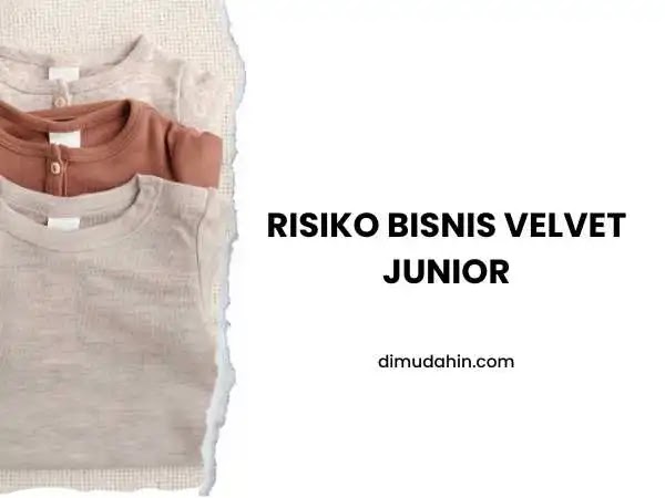 Risiko Bisnis Velvet Junior